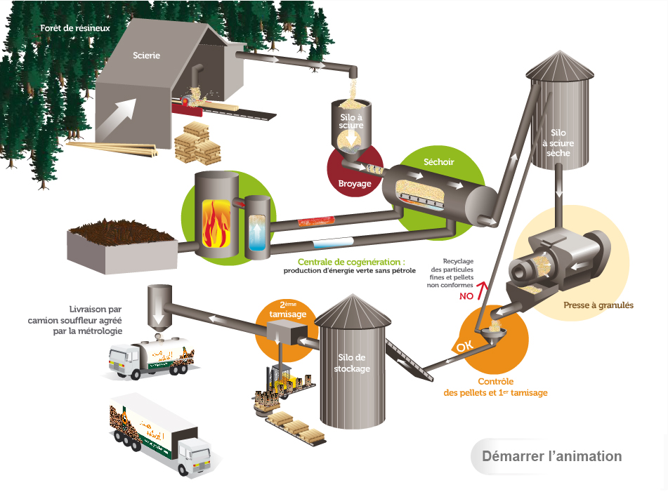 animation flash sur la création du granulés de bois